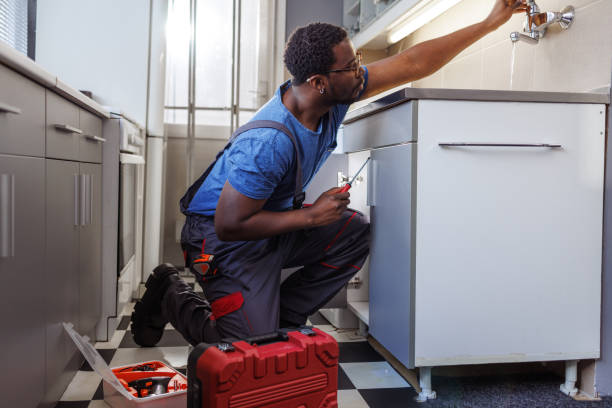 Best Water Softener Installation  in Coats Bend, AL